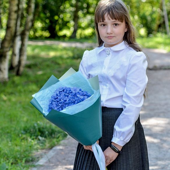Синяя гортензия