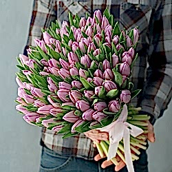 101 фиолетовый тюльпан