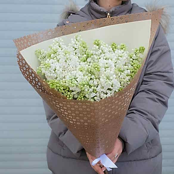 5 веток белой сирени в упаковке