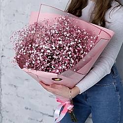 7 розовых гипсофил в упаковке