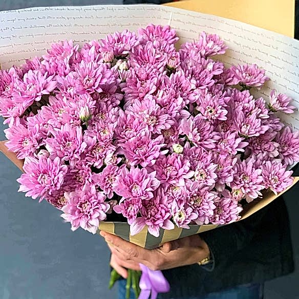 15 розовых кустовых хризантем в упаковке