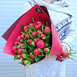25 бордовых пионов в упаковке