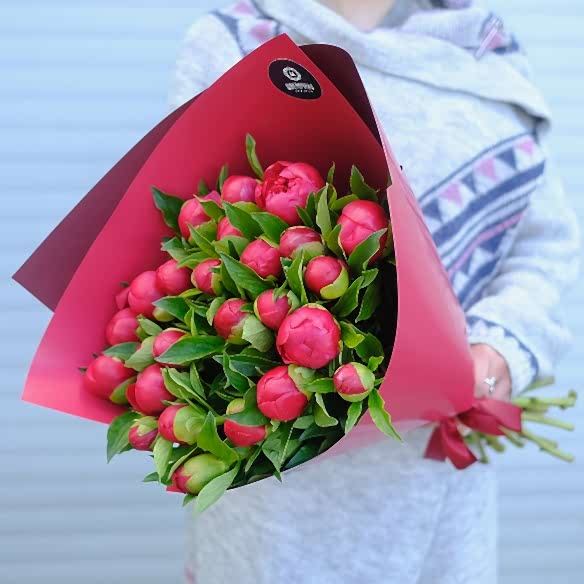 25 бордовых пионов в упаковке