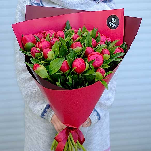 25 бордовых пионов в упаковке