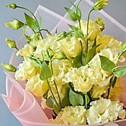 9 лимонных  эустом в упаковке