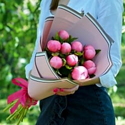 9 розовых пионов в упаковке (Голландия)