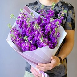 15 фиолетовых маттиол в упаковке