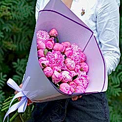 25 розовых пионов в упаковке (Голландия)
