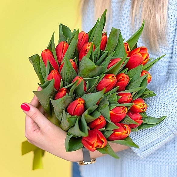 25 оранжевых тюльпанов