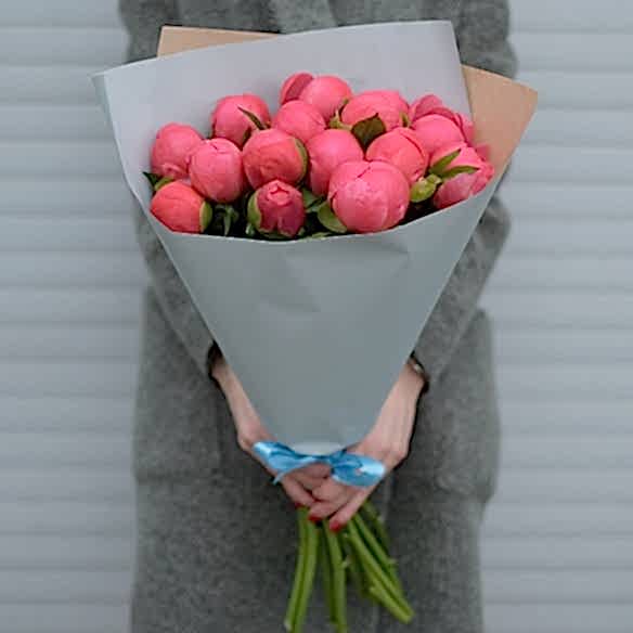 15 коралловых пионов в упаковке (Голландия)