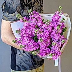 15 малиновых маттиол в упаковке