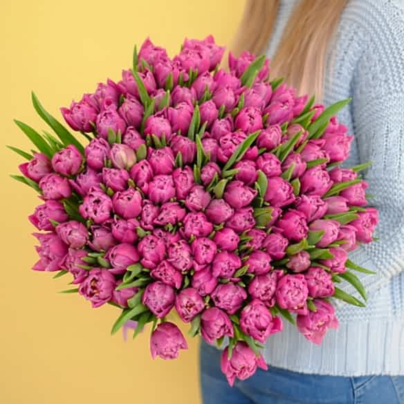 101 фиолетовый тюльпан (Пионовидные)