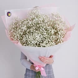 15 белых гипсофил в упаковке