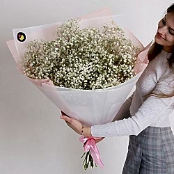 15 белых гипсофил в упаковке