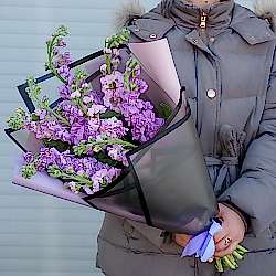 9 сиреневых маттиол в упаковке