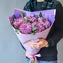 5 фиолетовых одноголовых хризантем в упаковке