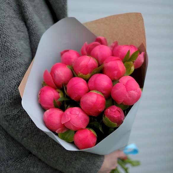 15 коралловых пионов в упаковке (Голландия)