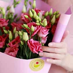 5 розовых эустом в упаковке