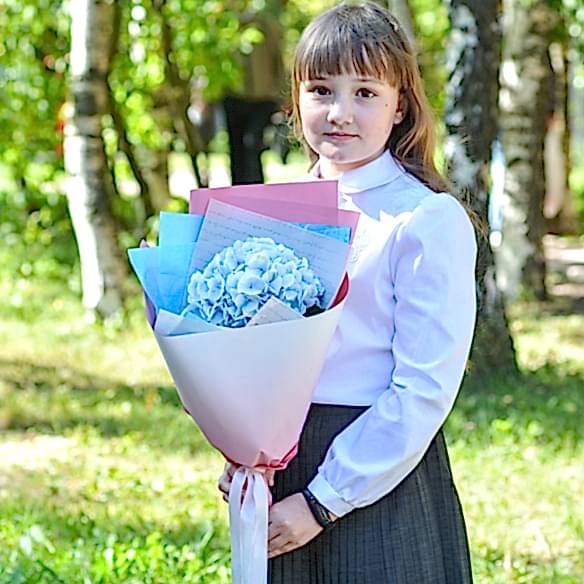 Голубая гортензия
