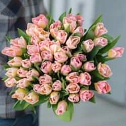 51 розовый пионовидный тюльпан