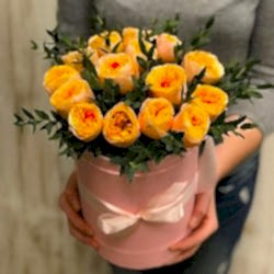 Коробочка с Vuvuzela и зеленью