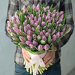 101 фиолетовый тюльпан