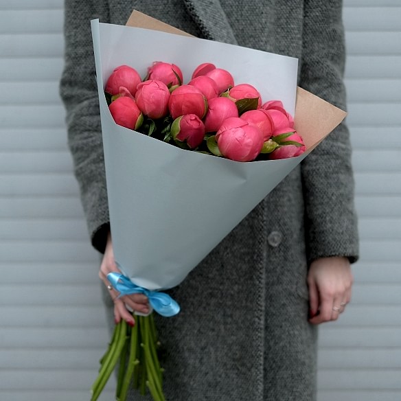 15 коралловых пионов в упаковке (Голландия)