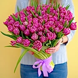 101 фиолетовый тюльпан (Пионовидные)