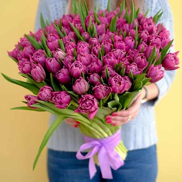 101 фиолетовый тюльпан (Пионовидные)