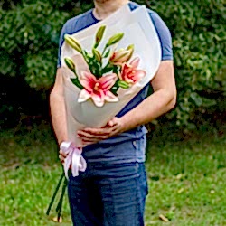 3 розовых лилии в упаковке.