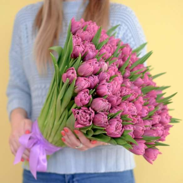 101 фиолетовый тюльпан (Пионовидные)