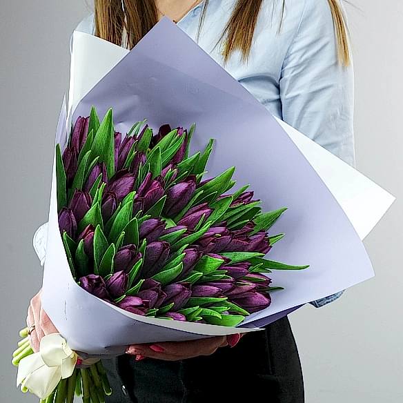 51 фиолетовый тюльпан в упаковке